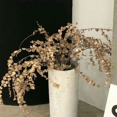 广德FurryQQ群介绍